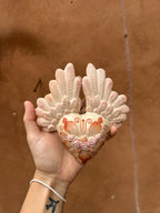 Corazon con alas ~ red & sand
