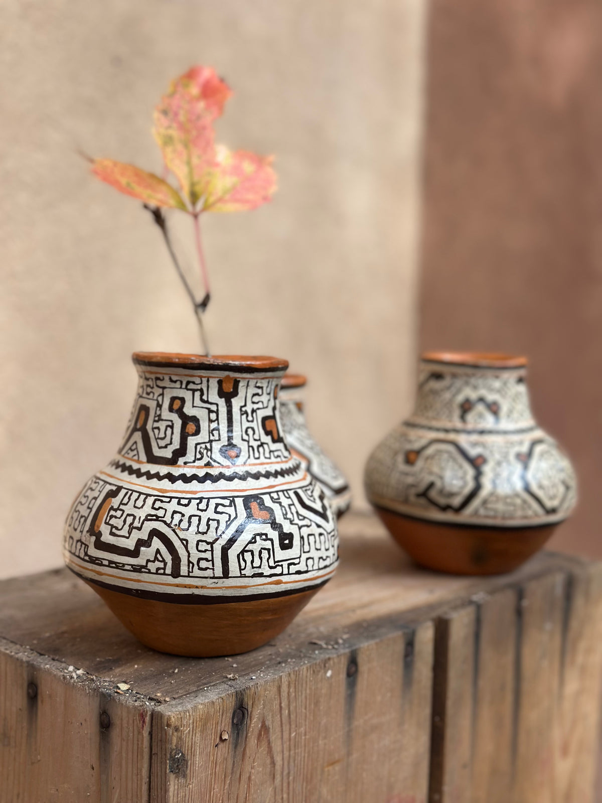 Shipibo Ceramic - Vessel