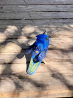 Blue Bird Sitting