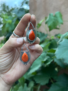 Orange Spiny Oyster - statement earrings - sterling silver