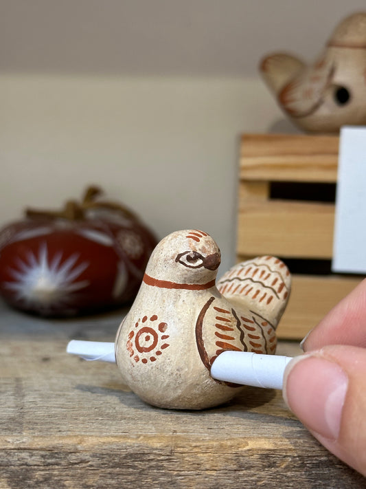 Messenger Bird ~ Sand and deep coral