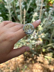 Druzy River Jasper Statement ring - Sterling Silver and 22k gold accent - size 7