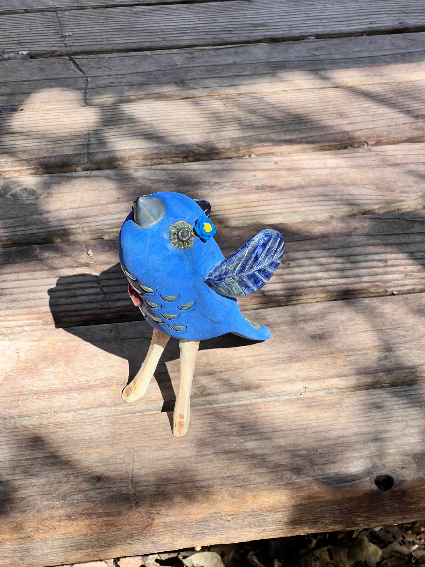 Blue Bird Sitting