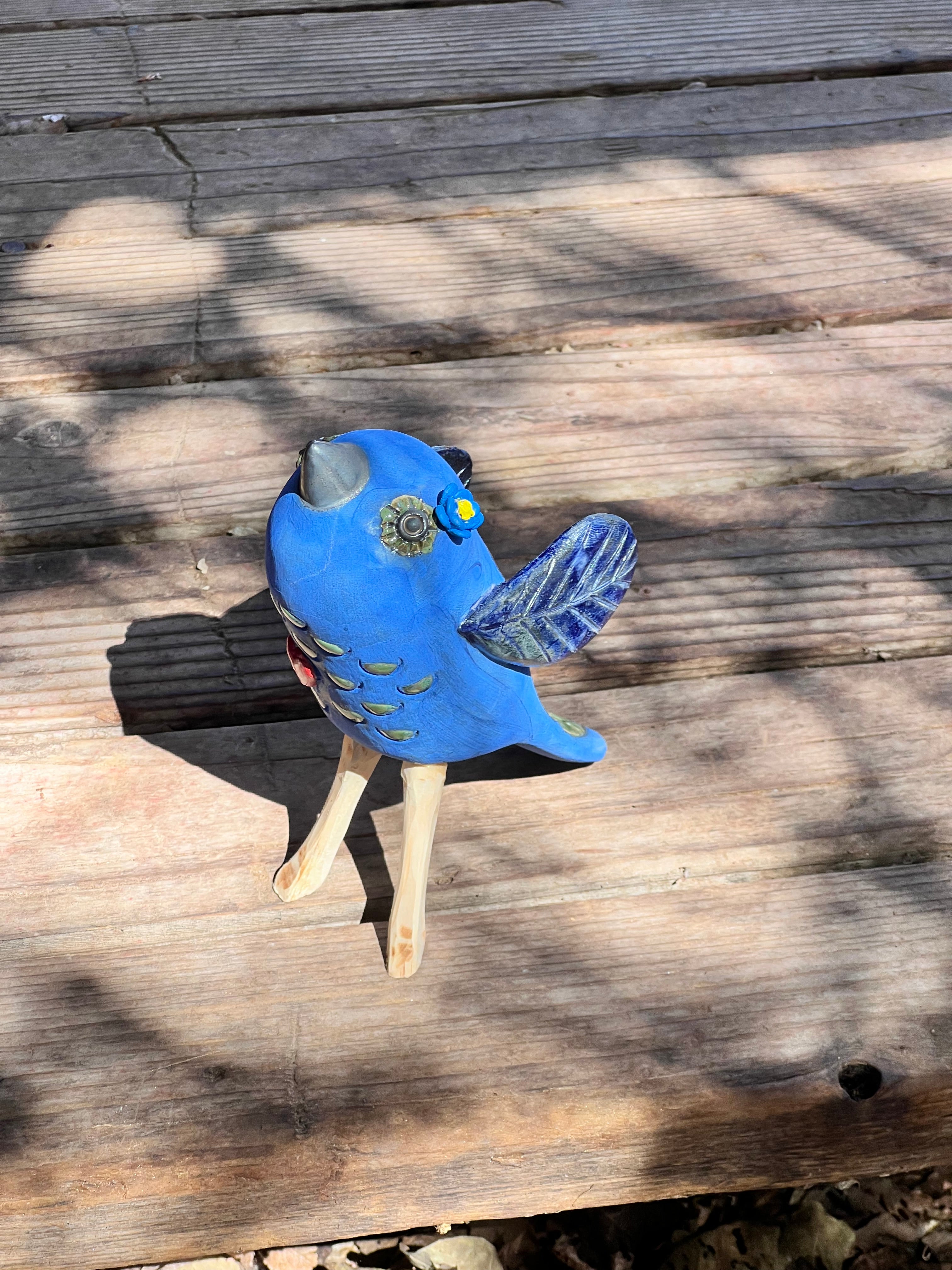 Blue Bird Sitting