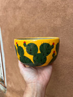 Soup Bowl - Teal and Yellow