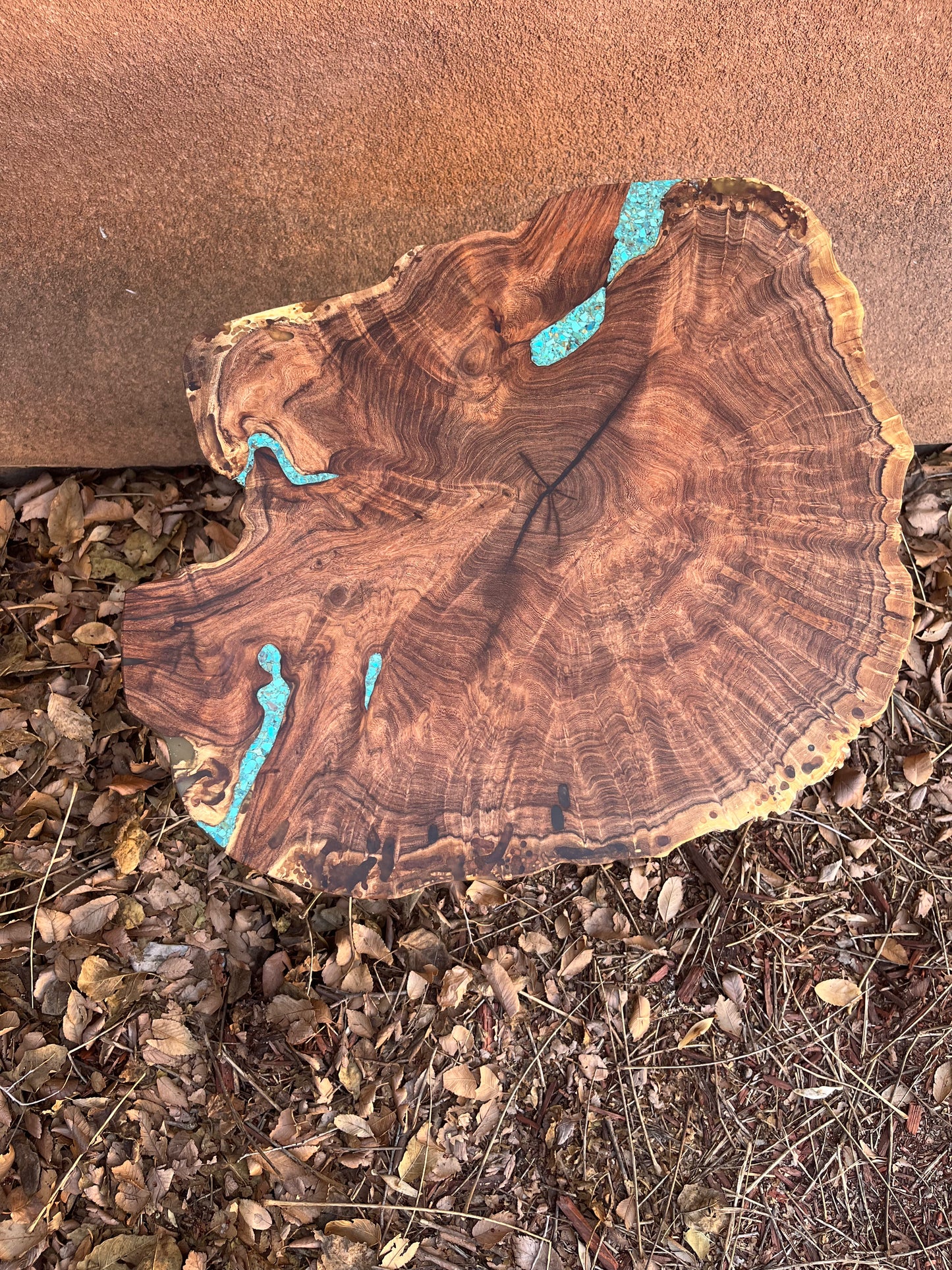 End table ~ Live Edge Mesquite Burl - with Kingman Turquoise inlay