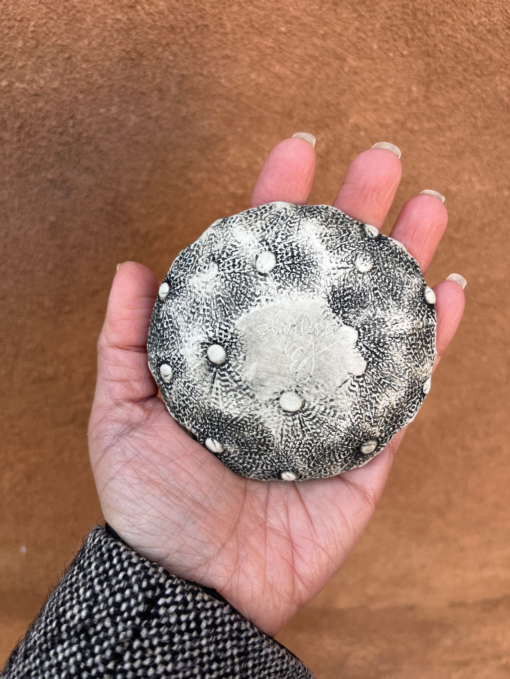 Torn Edge Dish - Seafoam - 3 sizes