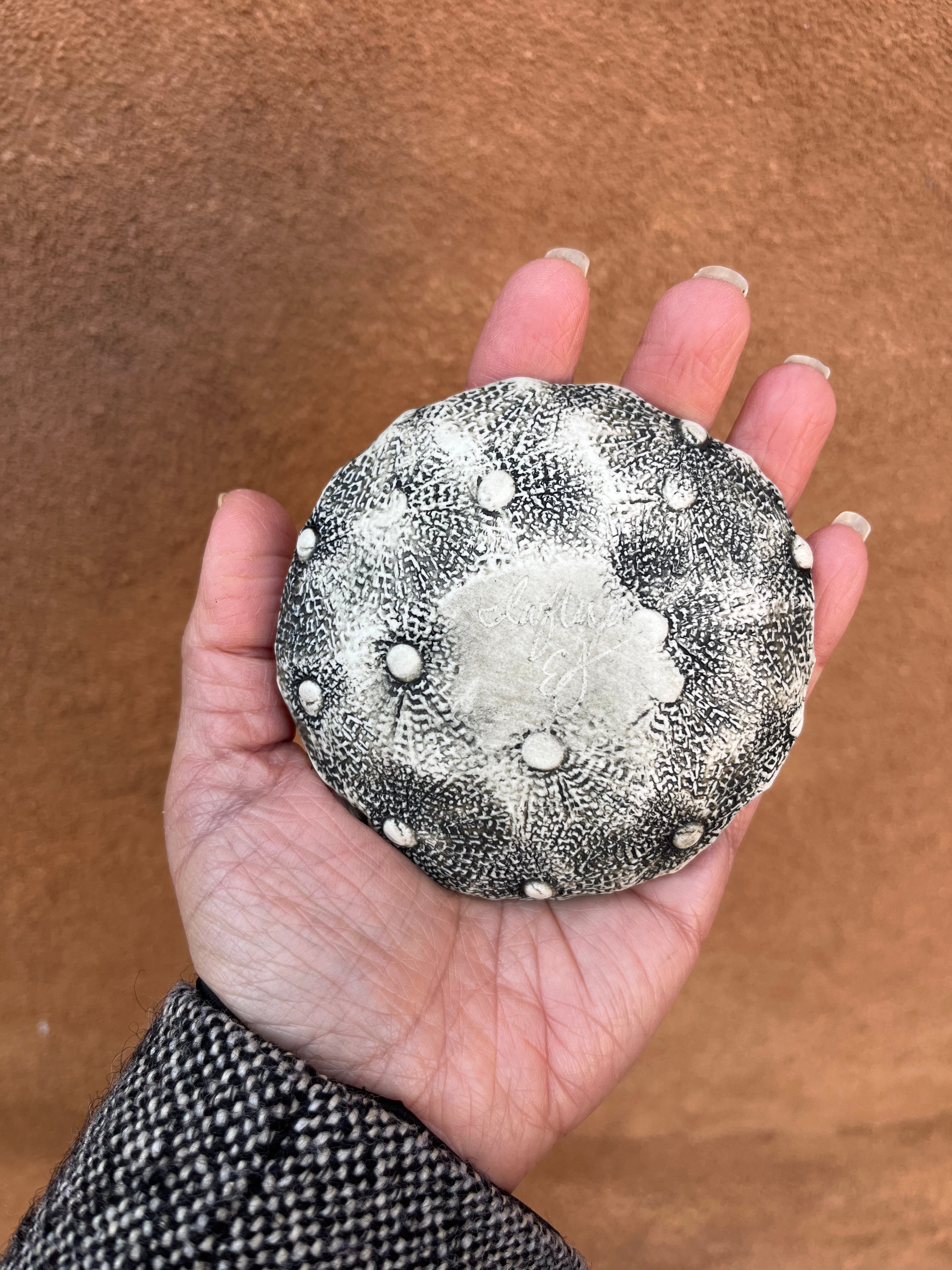 Torn Edge Dish - Seafoam - 3 sizes