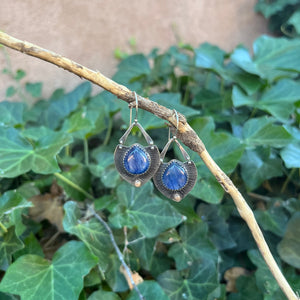 Blue Kyanite Earrings - sterling silver