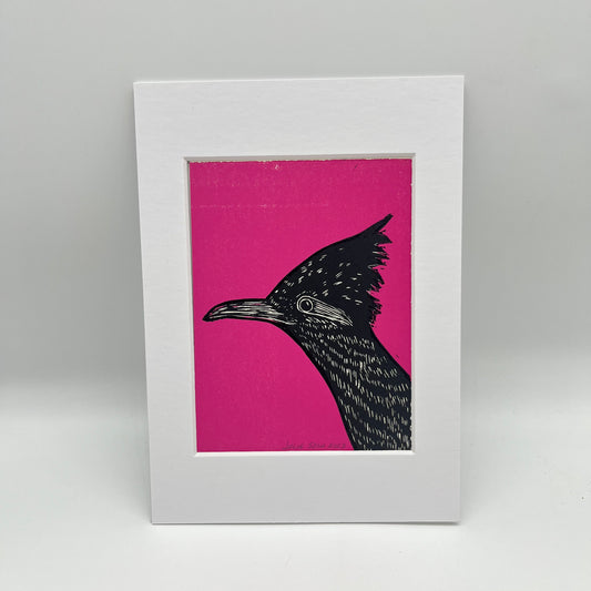 Roadrunner print ~ Pink