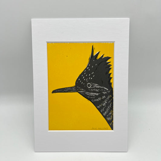 Roadrunner print ~ Yellow