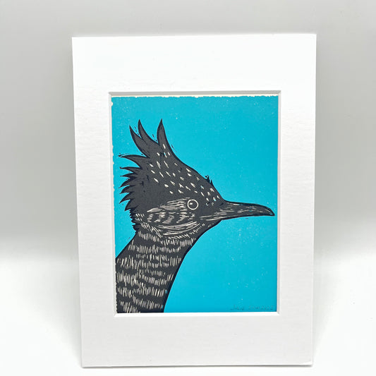 Roadrunner print ~ Turquoise