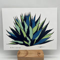 New Mexico Century Plant ~ Print ~ Blue