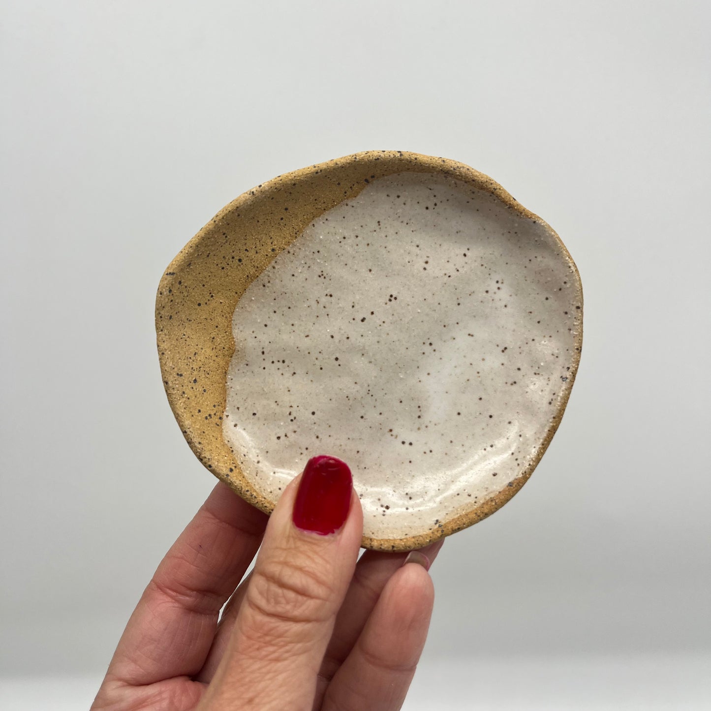 Catchall ~ speckled plate