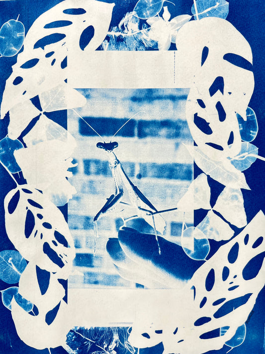 Cyanotype