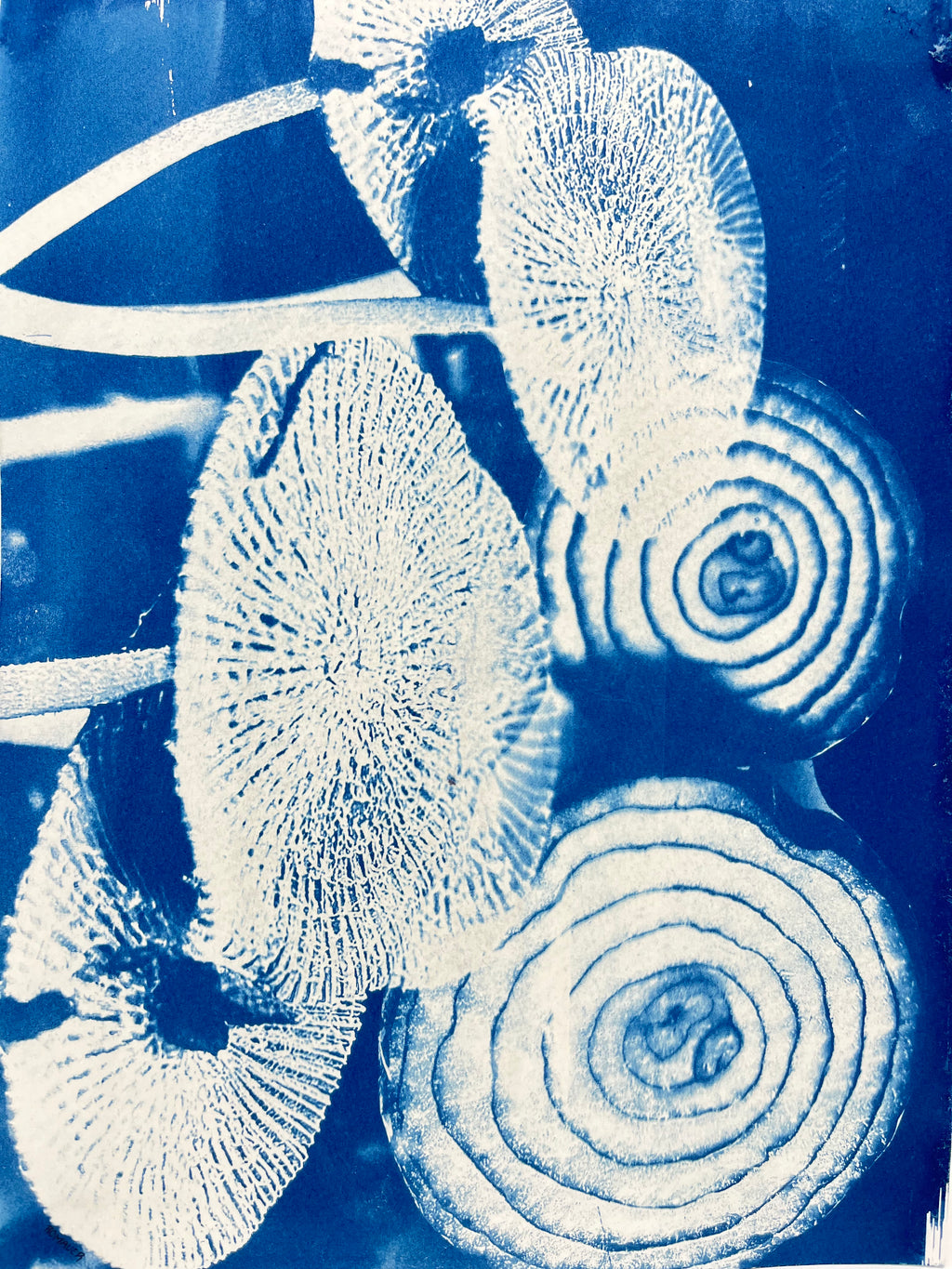 Cyanotype