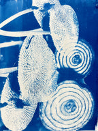 Cyanotype