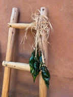 Glass blown ~ Green chili rista ~ three chilis