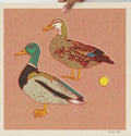 Mallard Ducks • 12”x 12” print