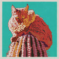 Bobcat Cactus 12 x 12 print