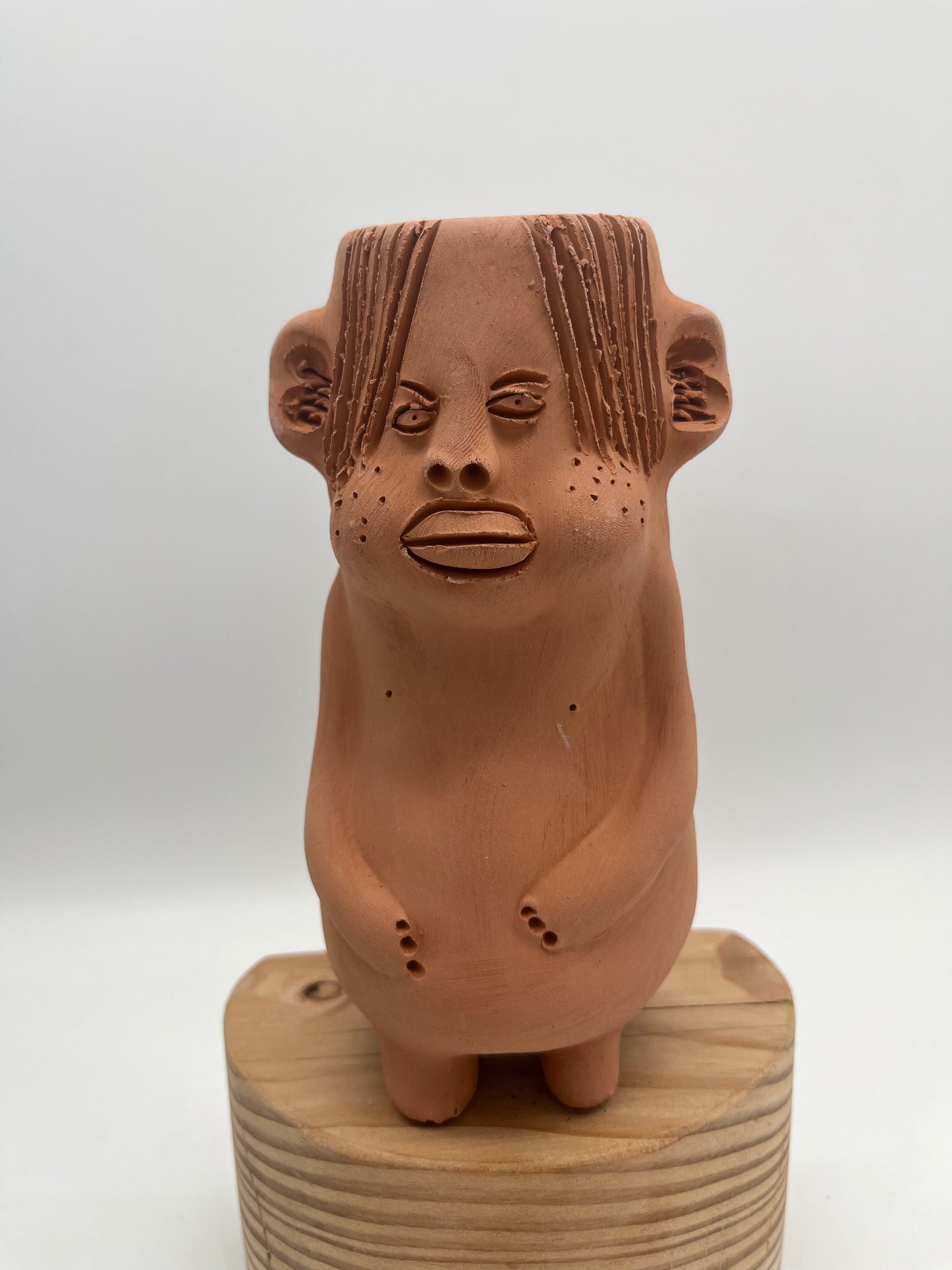 Terracota face planter ~ Cloromilo