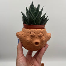 Load image into Gallery viewer, Terracota face planter - pufferfish
