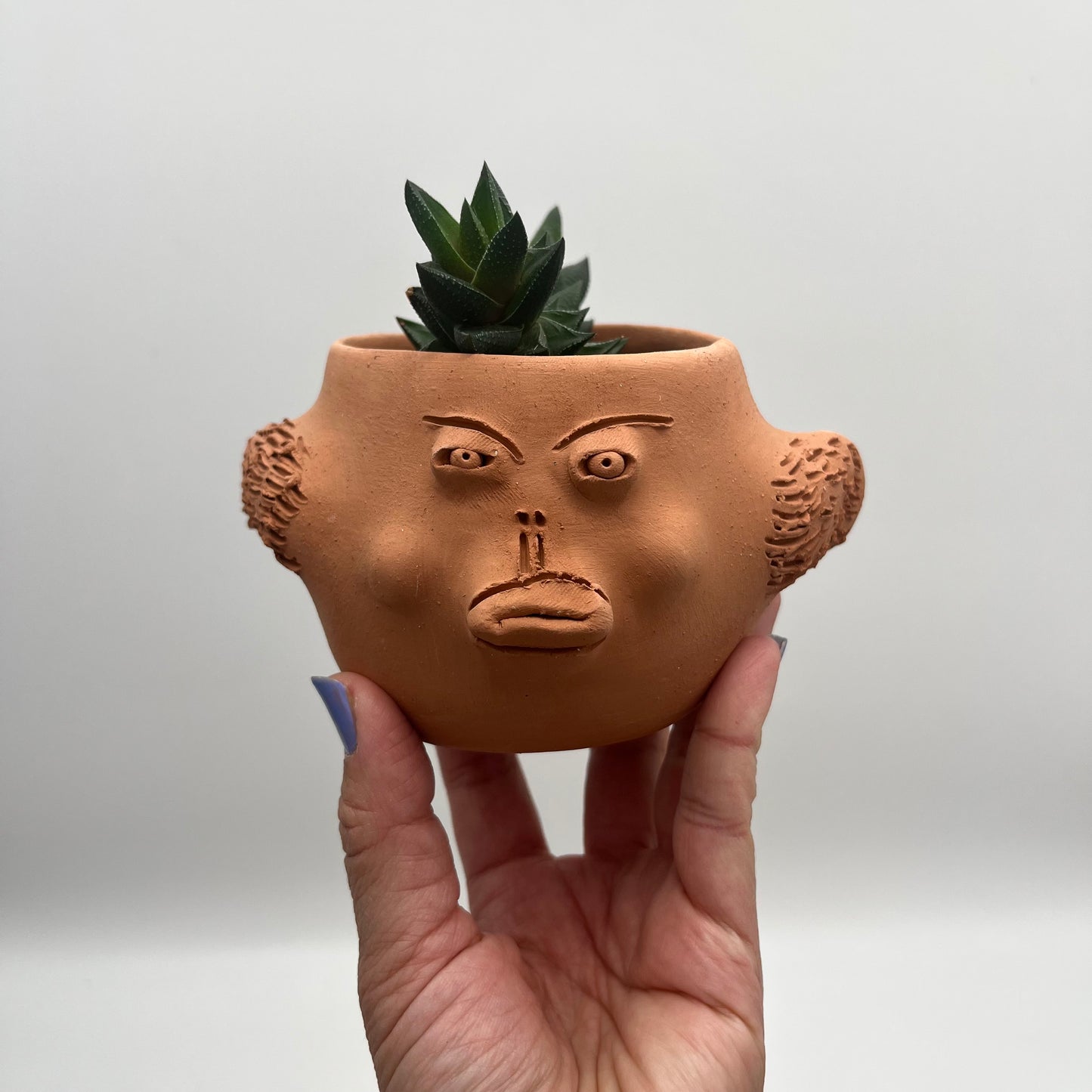 Terracota face planter - pufferfish