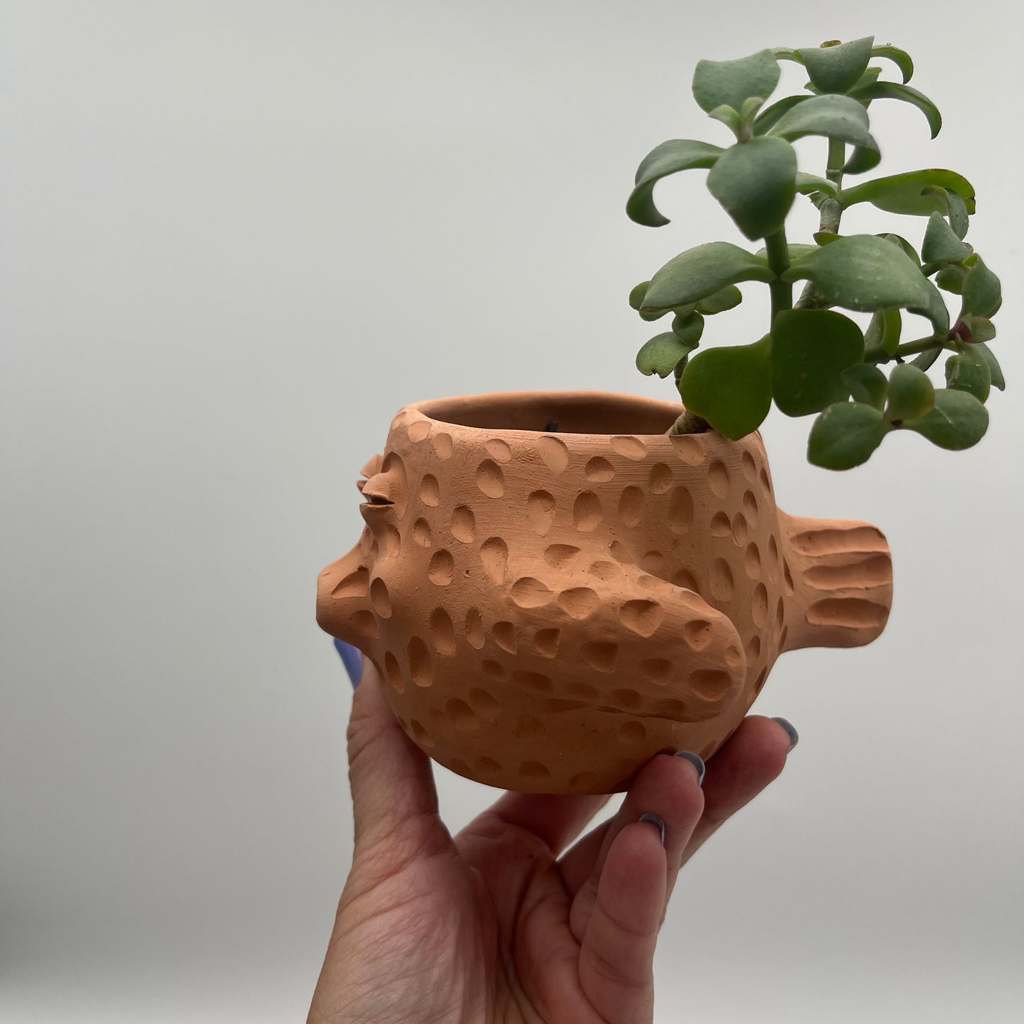 Terracota face planter - pufferfish