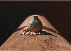 Lineage Seeds