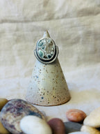 Angel Wing Variscite & Sterling Silver Ring - size 7