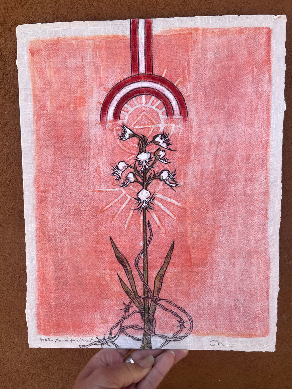 Western prairie fringed orchid - Archival Pigment Giclee print