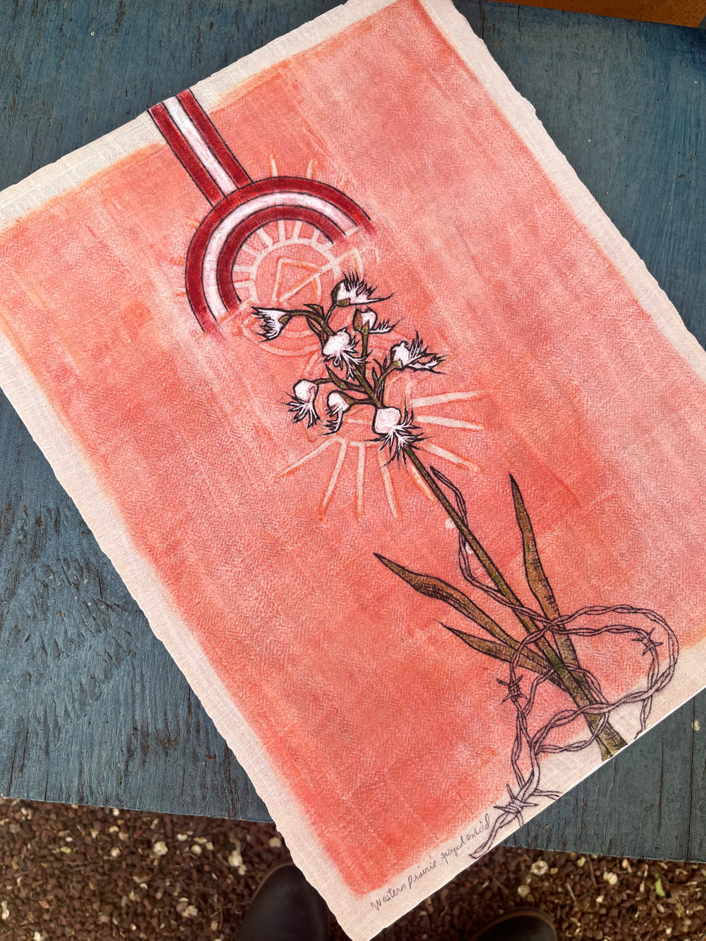 Western prairie fringed orchid - Archival Pigment Giclee print