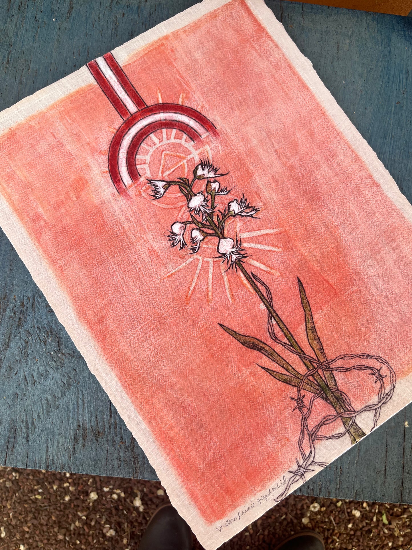 Western prairie fringed orchid - Archival Pigment Giclee print