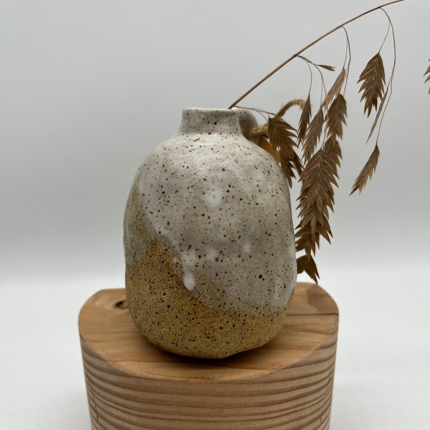 Bud Vases ~ Small ~ - Speckled