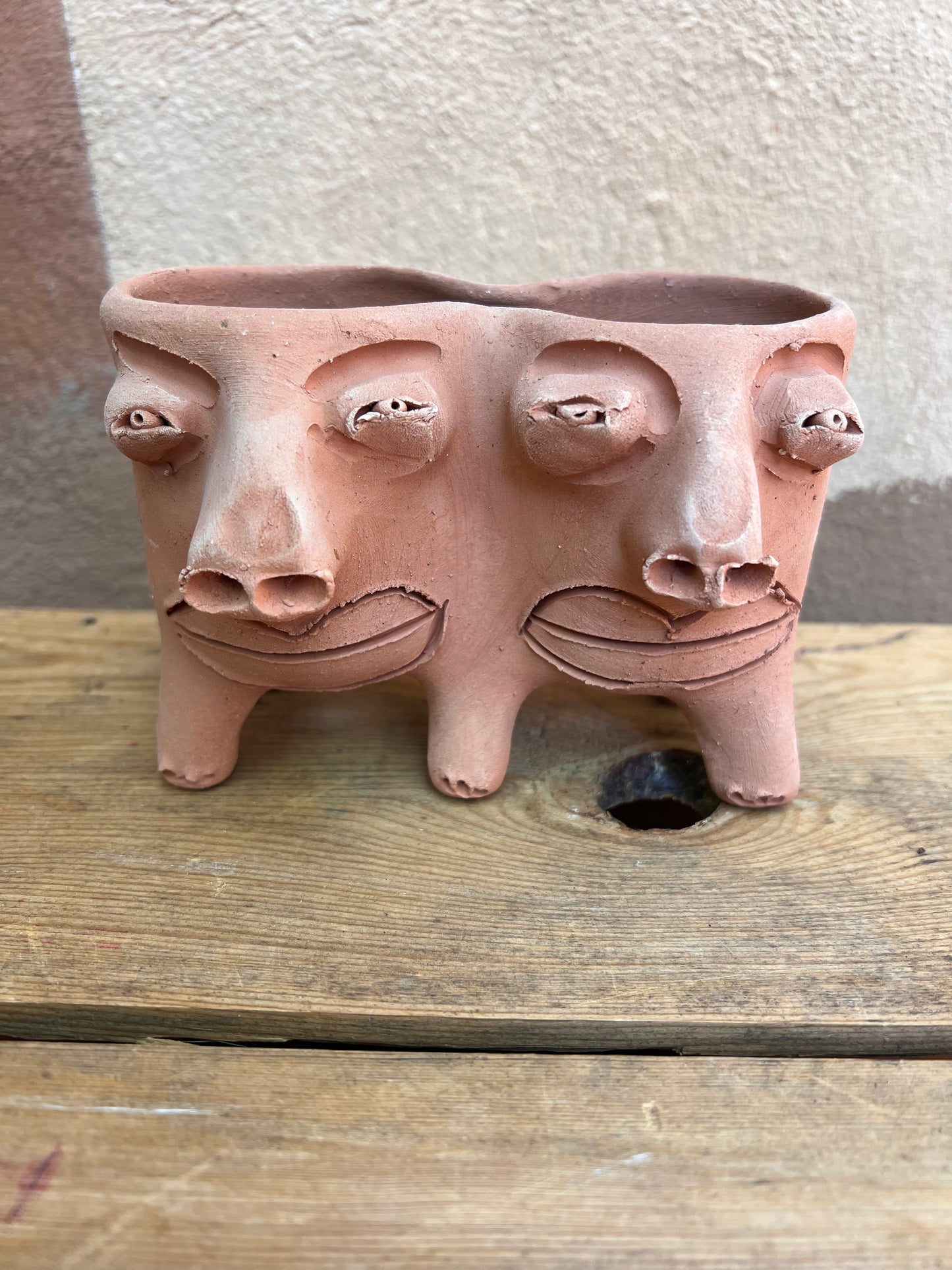 Patitas - Medium Twins Face Planter