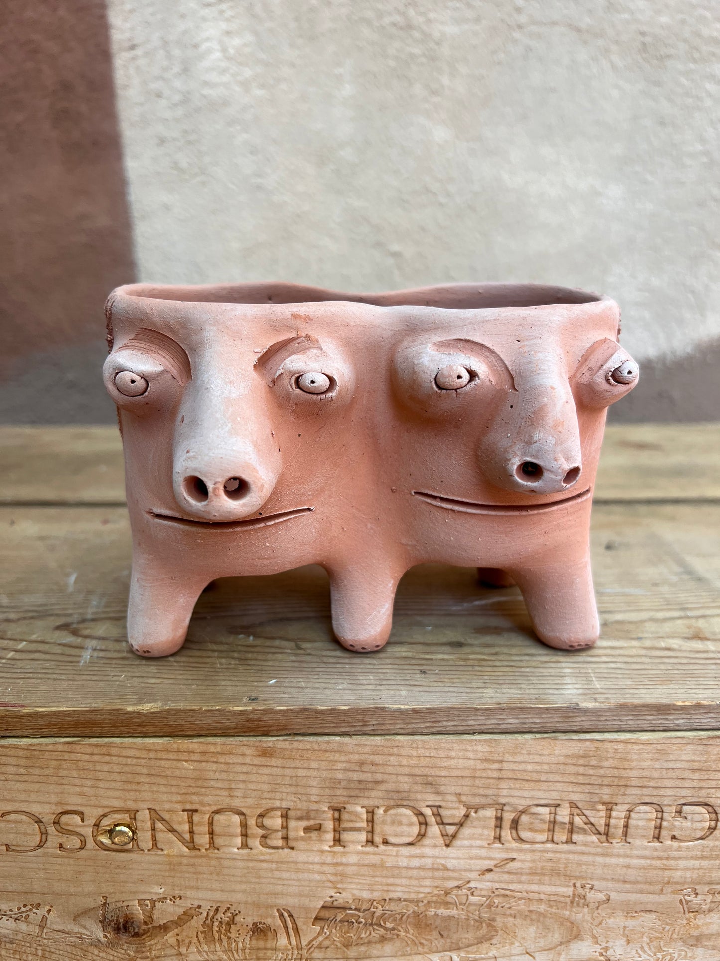 Patitas - Medium Twins Face Planter