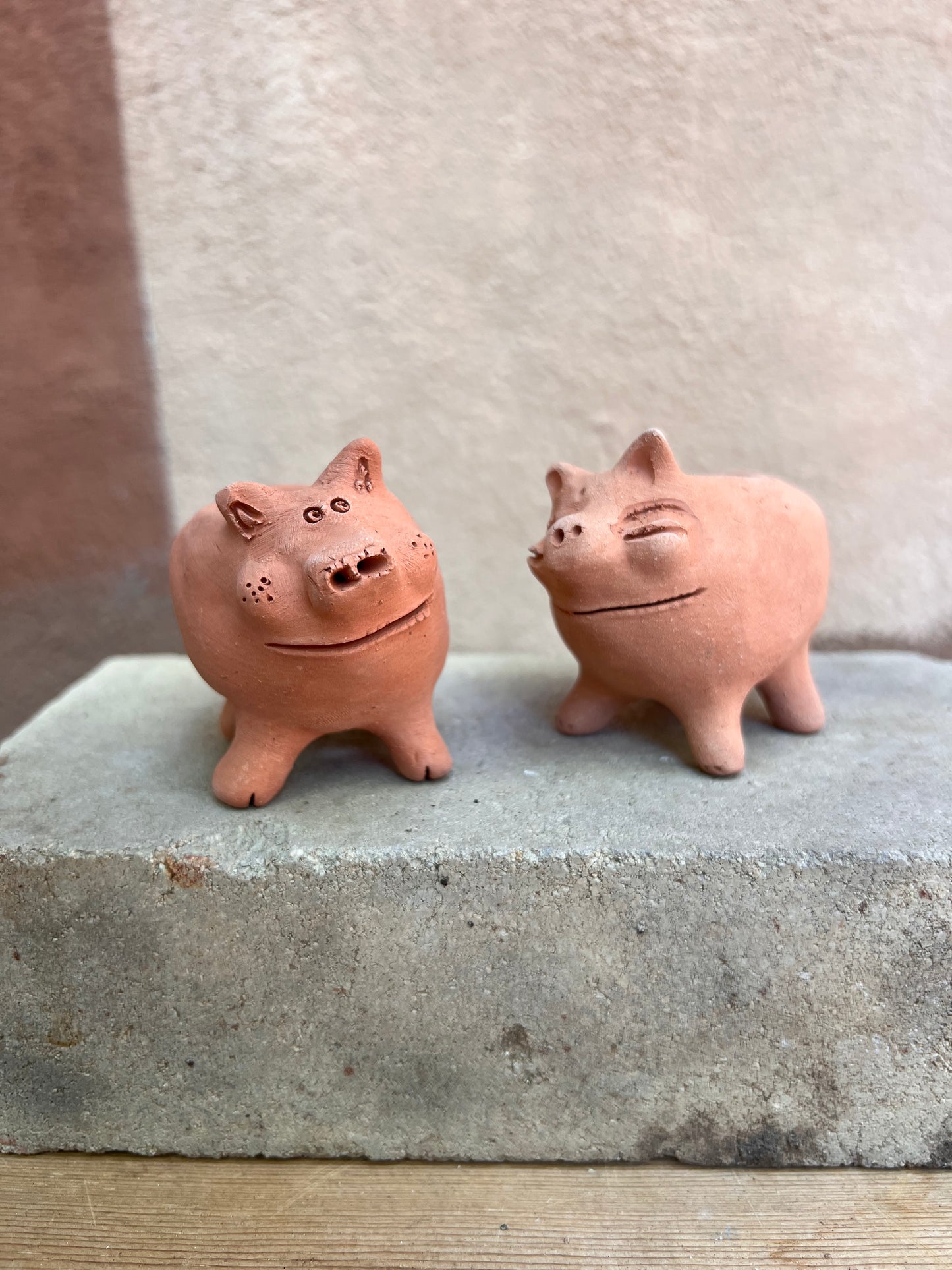 Little Piggie Terracota Planter