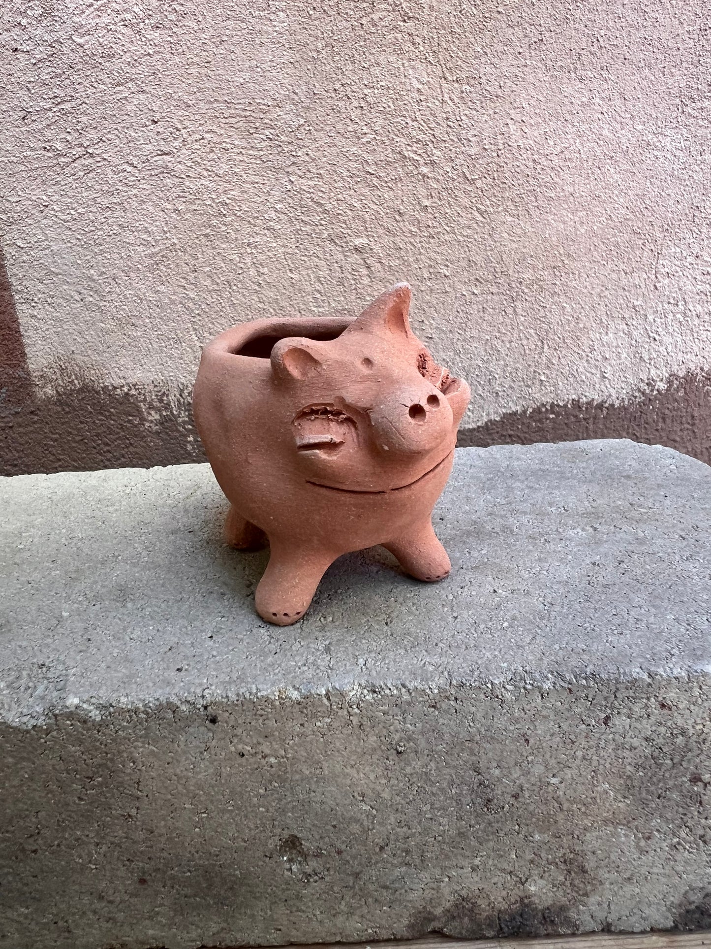 Little Piggie Terracota Planter