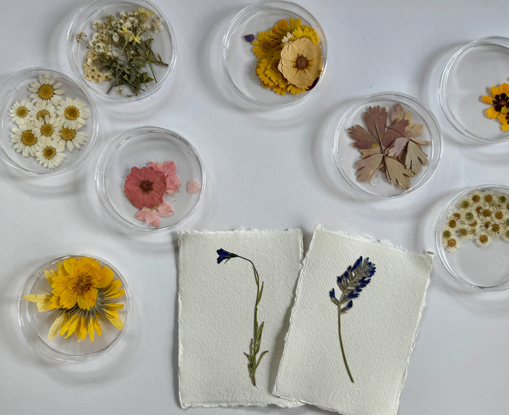 Plant Pressing Workshop with Eufloria Botanic Art