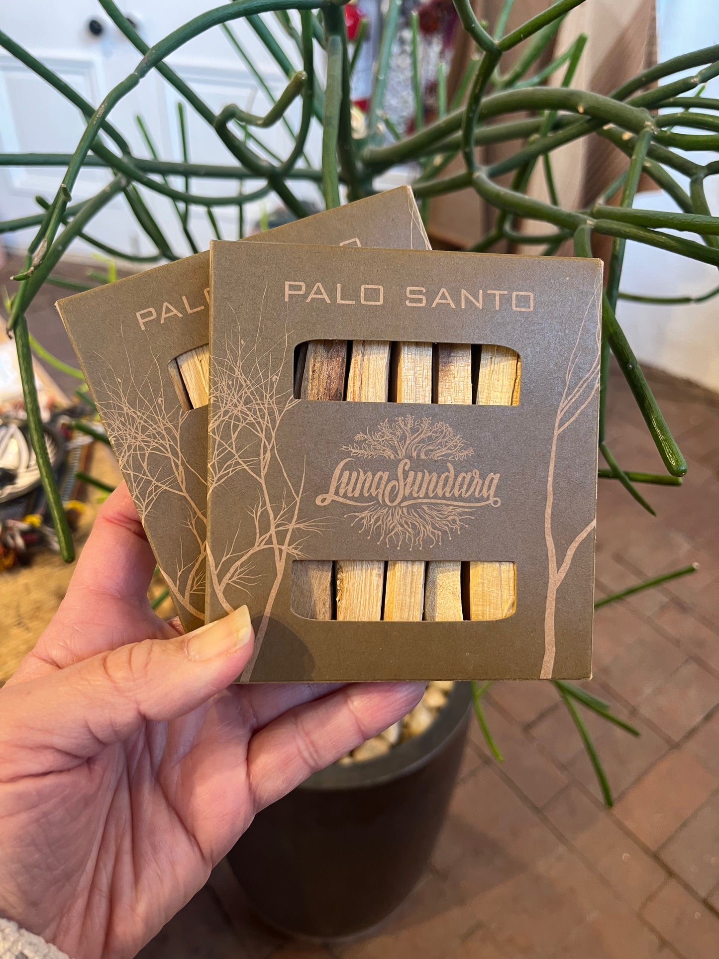 Premium Peruvian Palo Santo Smuding Sticks ~ Pack of 8