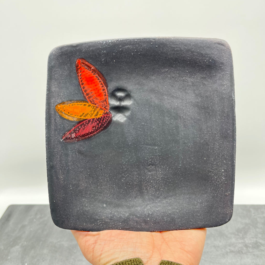 Plates ~ 6.5” Square