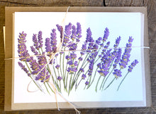 Load image into Gallery viewer, Lavender Cards - Set of 5
