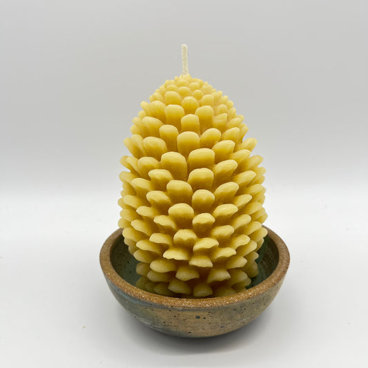 Sunbeam Candles - Pine Cone