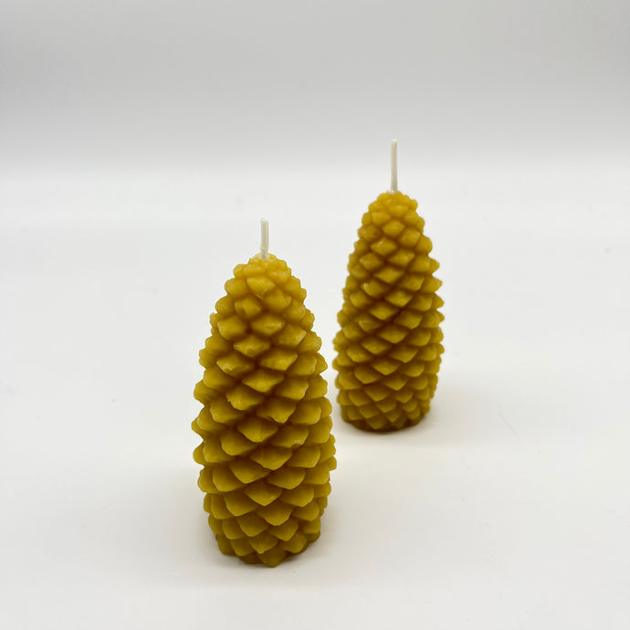 Sunbeam Candles - Pine Cone