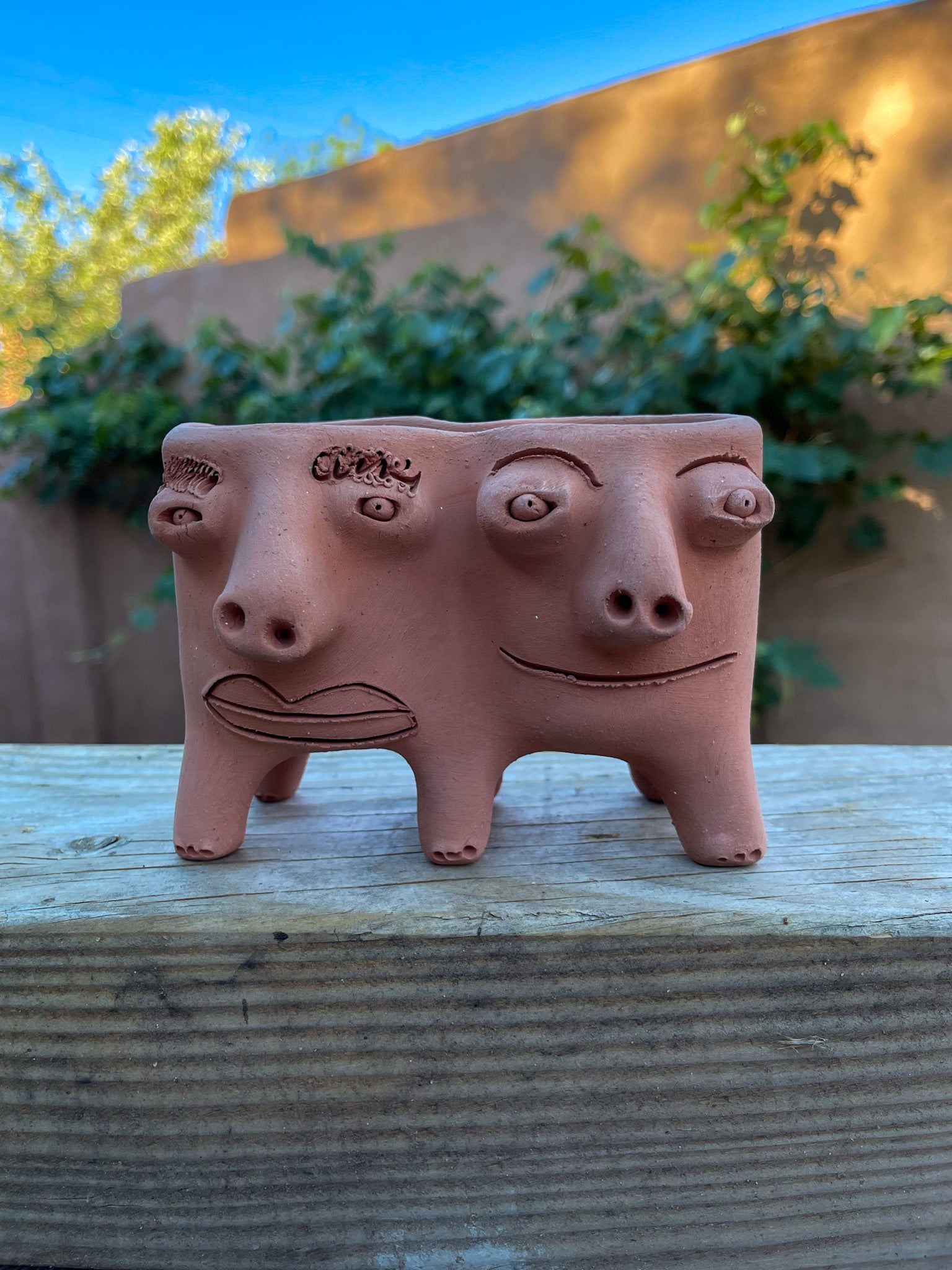 Patitas - Medium Twins Face Planter