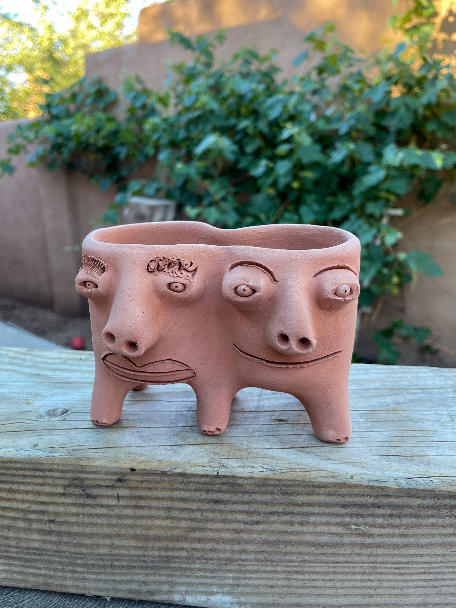 Patitas - Medium Twins Face Planter