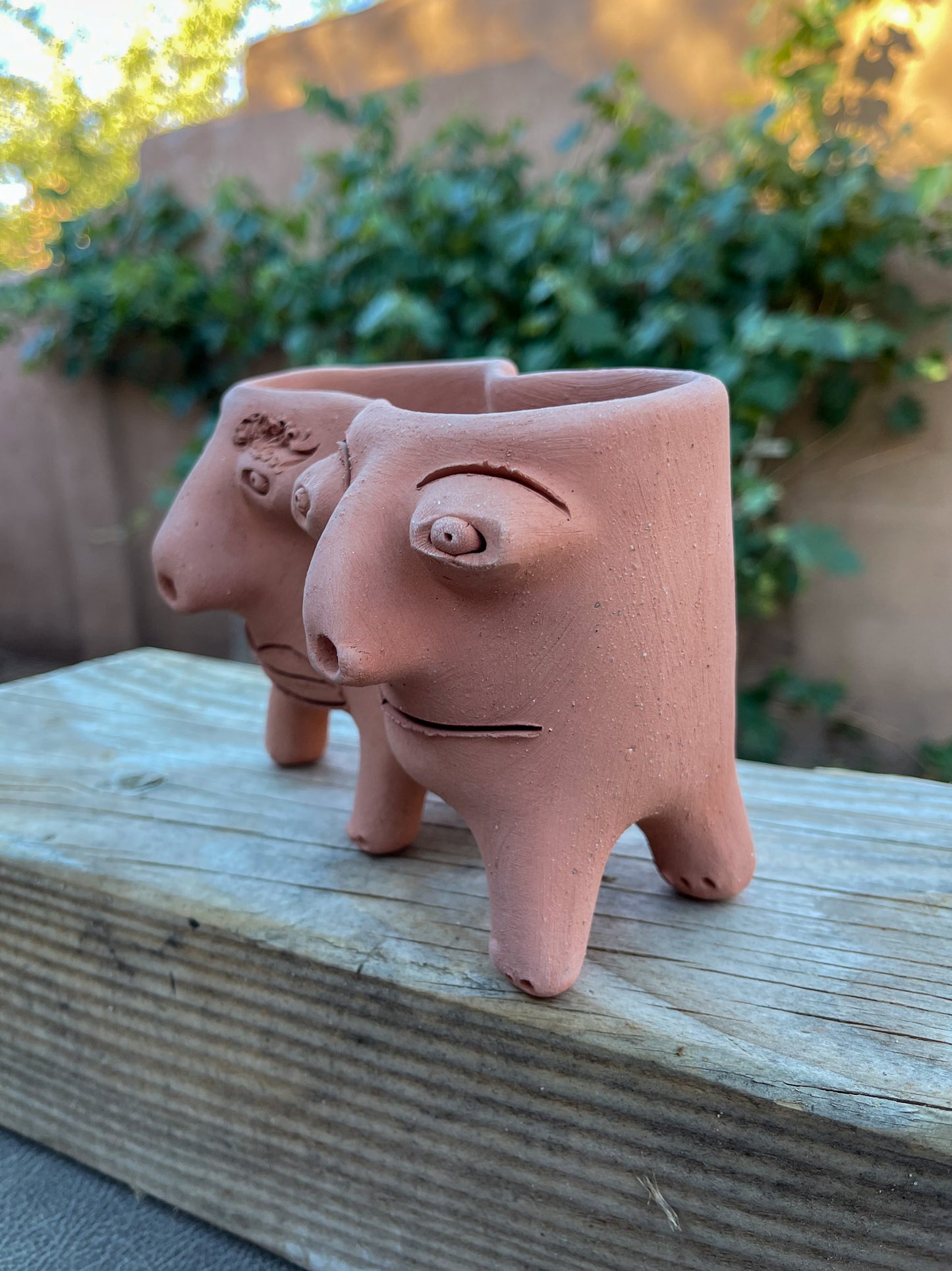 Patitas - Medium Twins Face Planter