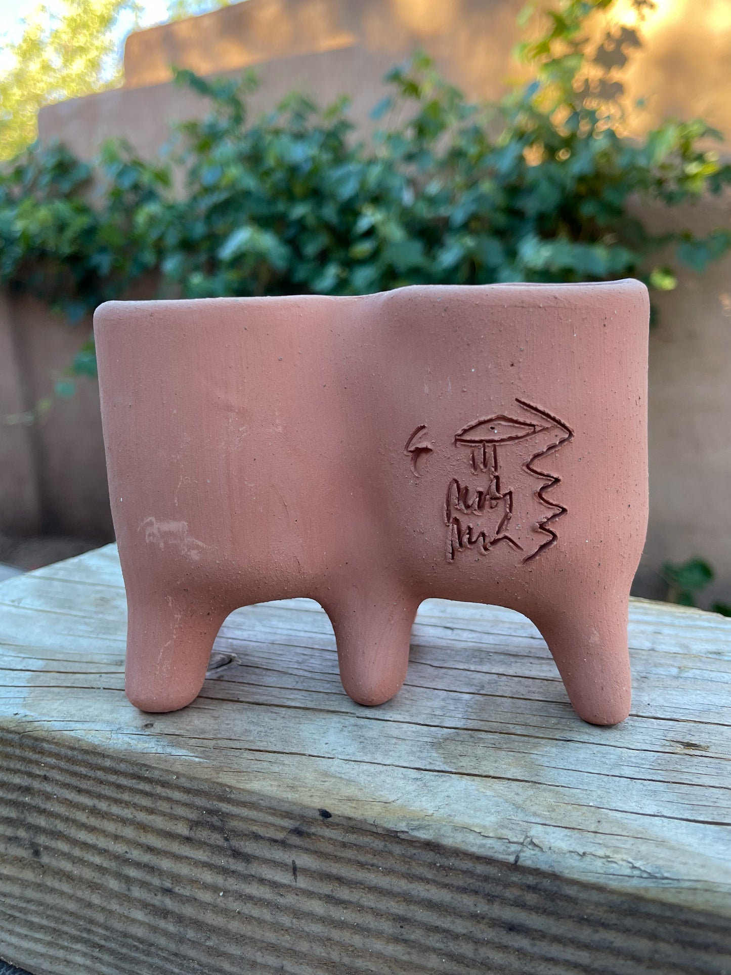 Patitas - Medium Twins Face Planter
