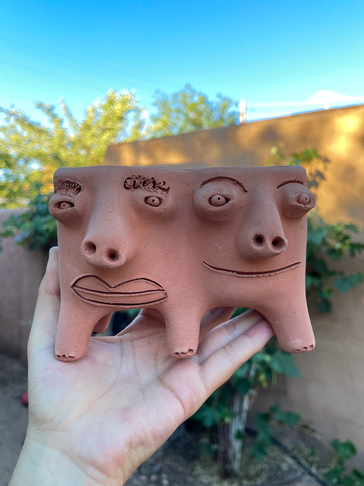 Patitas - Medium Twins Face Planter