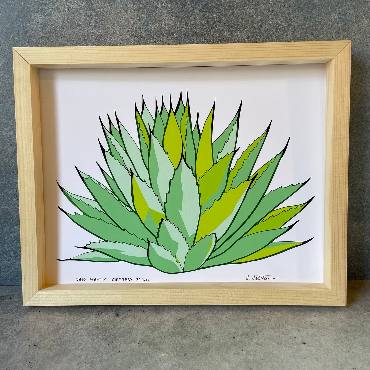 New Mexico Century Plant - Print